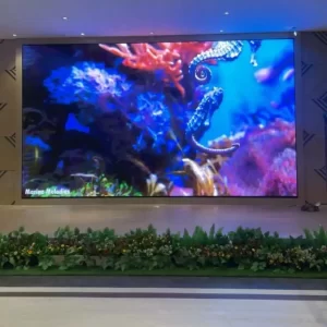 Videotron Indoor Aula, Videotron Indoor Auditorium